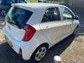 Kia Picanto 1.0 CVVT FIRST ED. Weiß - thumbnail 33