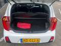 Kia Picanto 1.0 CVVT FIRST ED. Weiß - thumbnail 13