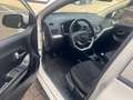 Kia Picanto 1.0 CVVT FIRST ED. Weiß - thumbnail 17
