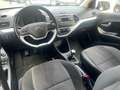 Kia Picanto 1.0 CVVT FIRST ED. Weiß - thumbnail 16