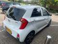 Kia Picanto 1.0 CVVT FIRST ED. Weiß - thumbnail 11