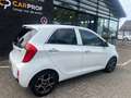 Kia Picanto 1.0 CVVT FIRST ED. Weiß - thumbnail 4