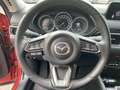 Mazda CX-5 2.5 194PS AT Kangei AWD AHZV Winterräder Al Rouge - thumbnail 13
