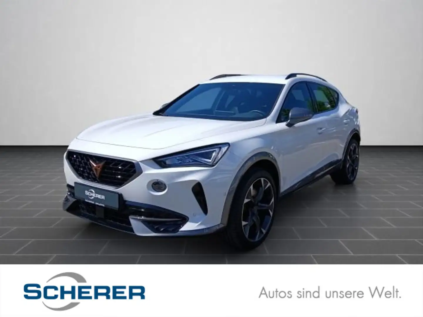 CUPRA Formentor VZ 2.0 TSI DSG AHK AKTION BIS ZUM 18.0 Weiß - 1