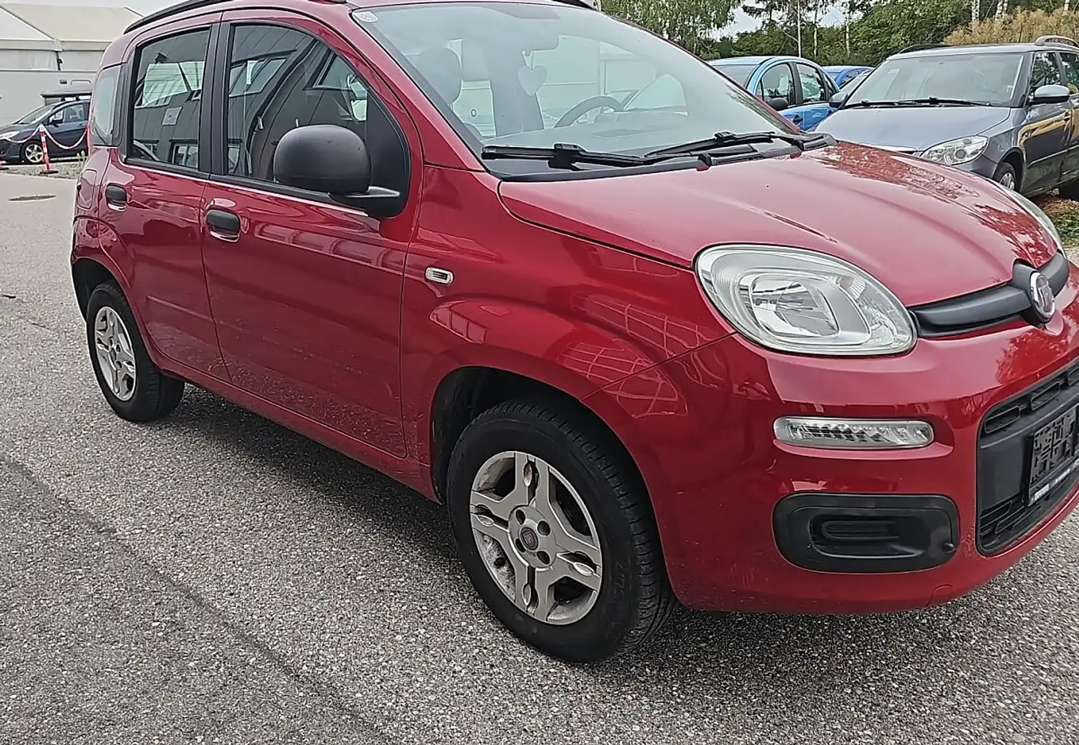 Fiat Panda CNG Erdgas Frische Pickerl Rot - 1