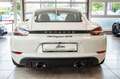 Porsche Cayman 718 Cayman GTS 4.0 PDK*LED*BOSE*R-CAM* Weiß - thumbnail 11