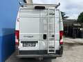 Fiat Ducato 2.3 Multijet 180 PK L3H2 - Trekhaak - 1ste Eig Blanc - thumbnail 3