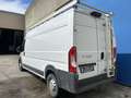 Fiat Ducato 2.3 Multijet 180 PK L3H2 - Trekhaak - 1ste Eig Blanc - thumbnail 17