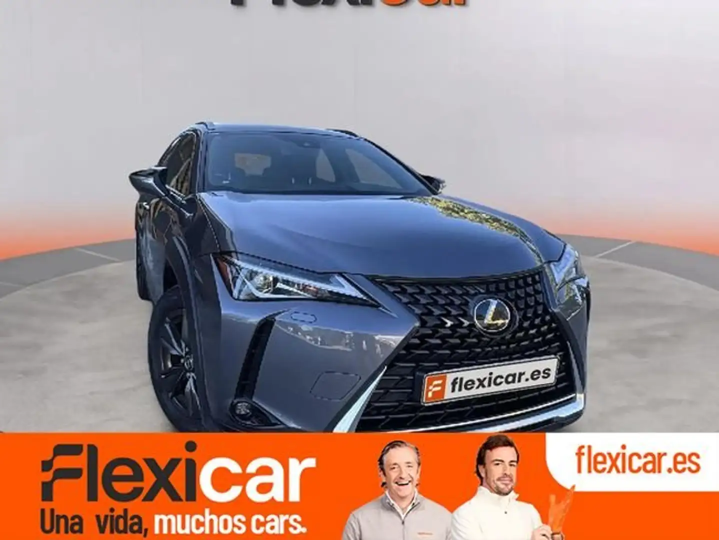 Lexus UX 250h Luxury 2WD Gris - 1