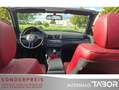 BMW 320 320 Ci Cabrio Leder SHZ PDC - thumbnail 7