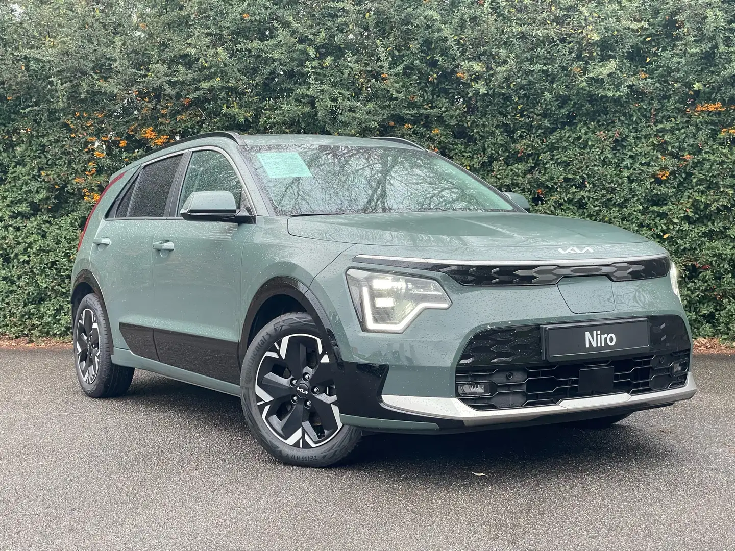 Kia e-Niro 64.8 kWh Pulse Vert - 1