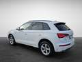 Audi Q5 40 TDI S tronic quattro S line NaviPlus Matrix ... Grau - thumbnail 5
