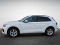 Audi Q5 40 TDI S tronic quattro S line NaviPlus Matrix ... Grau - thumbnail 4