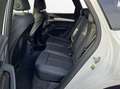 Audi Q5 40 TDI S tronic quattro S line NaviPlus Matrix ... Grau - thumbnail 12