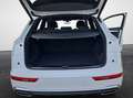 Audi Q5 40 TDI S tronic quattro S line NaviPlus Matrix ... Grau - thumbnail 13