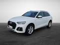 Audi Q5 40 TDI S tronic quattro S line NaviPlus Matrix ... Grau - thumbnail 3