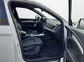 Audi Q5 40 TDI S tronic quattro S line NaviPlus Matrix ... Grau - thumbnail 14