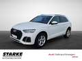 Audi Q5 40 TDI S tronic quattro S line NaviPlus Matrix ... Grau - thumbnail 2
