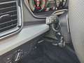 Audi Q5 40 TDI S tronic quattro S line NaviPlus Matrix ... Grau - thumbnail 16