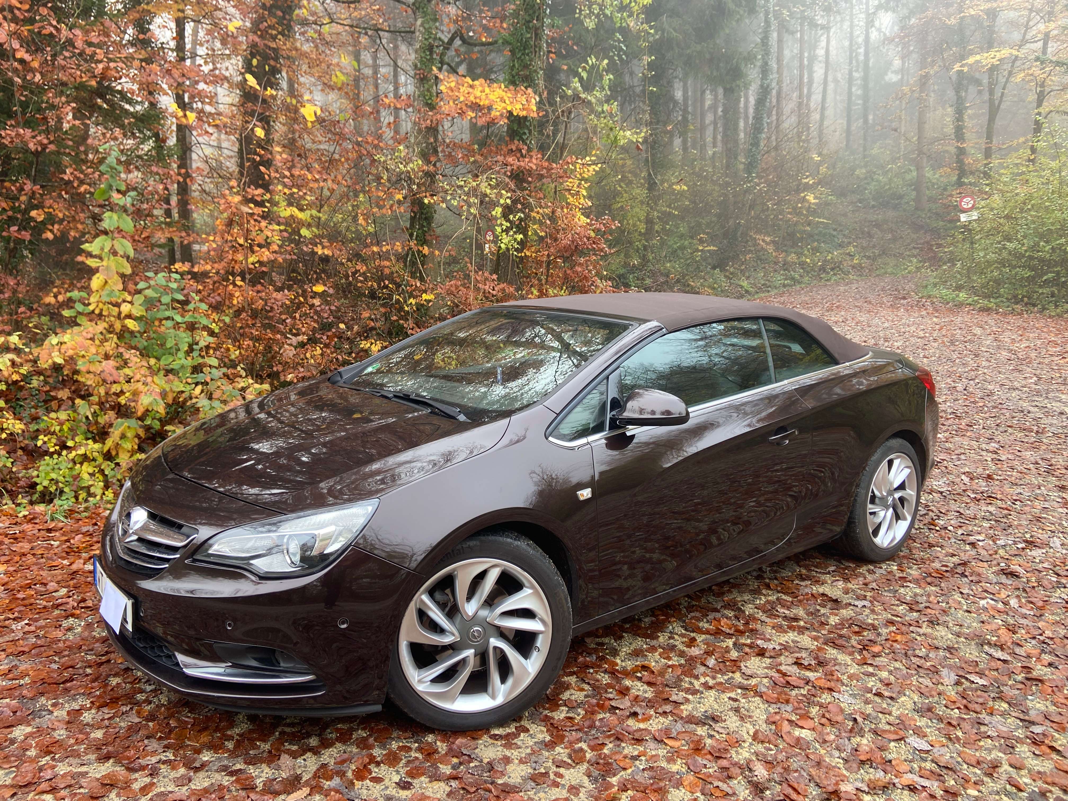 Second hand Opel Cascada 2.0 CDTi