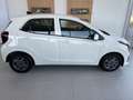 Kia Picanto 1,0 GDI Silber 4 Stz. Weiß - thumbnail 4