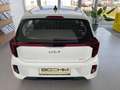 Kia Picanto 1,0 GDI Silber 4 Stz. Weiß - thumbnail 5