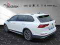 Volkswagen Golf VIII Variant TDI Alltrack 4Mo DSG Navi Matrix D... Weiß - thumbnail 5