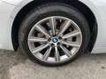 BMW 530 e Luxury Line - AUT/NAVI/PDC/CAMERA360/LED/CARPLAY Argent - thumbnail 16