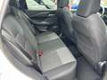 Nissan Qashqai 1.3 MHEV (140pk) Tekna! Panodak! Navi! 360 Camera Wit - thumbnail 11