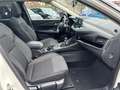 Nissan Qashqai 1.3 MHEV (140pk) Tekna! Panodak! Navi! 360 Camera Wit - thumbnail 10