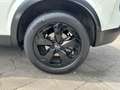 Nissan Qashqai 1.3 MHEV (140pk) Tekna! Panodak! Navi! 360 Camera Wit - thumbnail 8