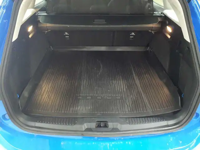 Ford Focus view 15
