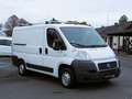 Fiat Ducato 120 Multijet L1H1 AHK Regale Blanc - thumbnail 6