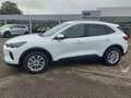 Ford Kuga Titanium Weiß - thumbnail 5