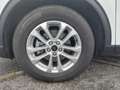 Ford Kuga Titanium Weiß - thumbnail 20