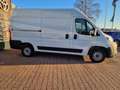 Toyota Proace MaxL2H2 Work Bianco - thumbnail 15