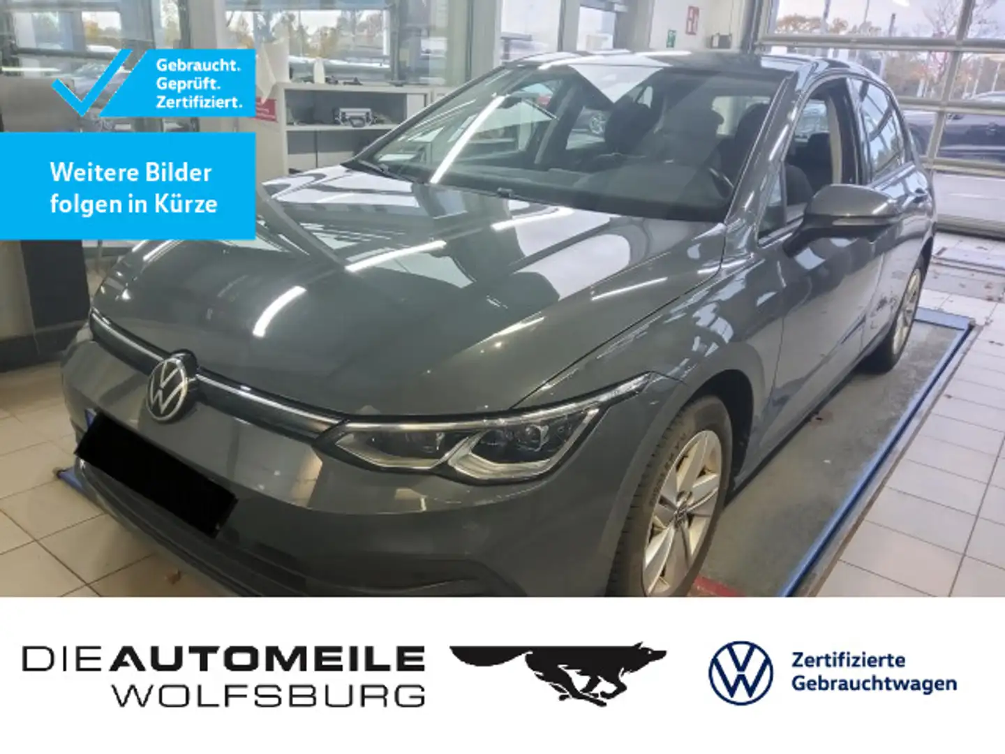 Volkswagen Golf 8 VIII 1.5 TSI Life AHK/ACC/Rückkam Grau - 1