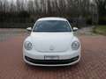 Volkswagen Maggiolino 1.6 TDI Design Blanco - thumbnail 5