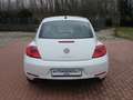 Volkswagen Maggiolino 1.6 TDI Design Blanco - thumbnail 7