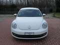 Volkswagen Maggiolino 1.6 TDI Design Blanco - thumbnail 6