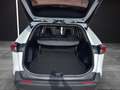 Toyota RAV 4 RAV4 RAV4 2.5l 220H Business 4WD Blanco - thumbnail 13