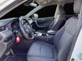 Toyota RAV 4 RAV4 RAV4 2.5l 220H Business 4WD Blanco - thumbnail 16