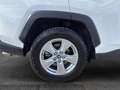 Toyota RAV 4 RAV4 RAV4 2.5l 220H Business 4WD Blanco - thumbnail 11