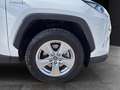Toyota RAV 4 RAV4 RAV4 2.5l 220H Business 4WD Blanco - thumbnail 10