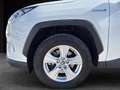 Toyota RAV 4 RAV4 RAV4 2.5l 220H Business 4WD Blanco - thumbnail 9
