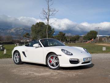 Boxster S 310