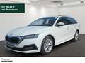 Skoda Octavia Com Ambition 1.4 TSI iV LED NAVI PDC Bianco - thumbnail 1