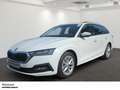 Skoda Octavia Combi Ambition 1.4 TSI iV LED NAVI PDC Blanco - thumbnail 2