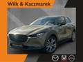 Mazda CX-30 2.0 AT Exclusive LED HUD Navi ACAA Grün - thumbnail 1