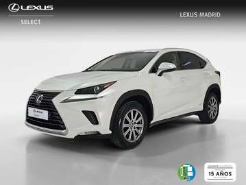 300h Business Navigation 2WD